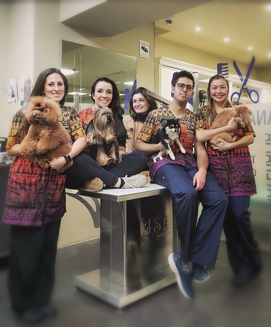 nuestro equipo